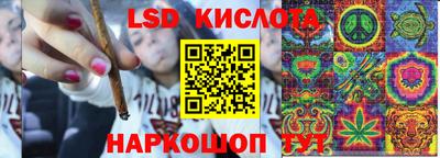 шишки Жуковский